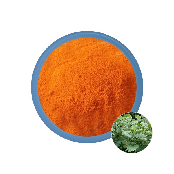 Macleaya-cordata-extract