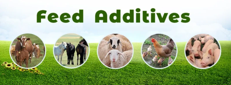 Vitamin d powder bulk wholesale (Vitamin D3) Vitamin d powder bulk wholesale (Vitamin D3)