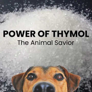 Thymol Animal Saviour