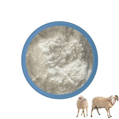 Enterococcus Faecalis